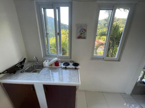a kitchen with a sink and two windows at Zaboca apartment in Roseau