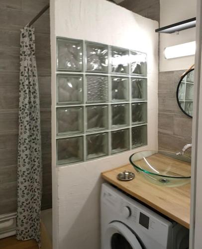 une salle de bain avec un lavabo et une machine à laver dans l'établissement APPARTEMENT AVEC TERRASSE SUR LE PORT, à Fécamp