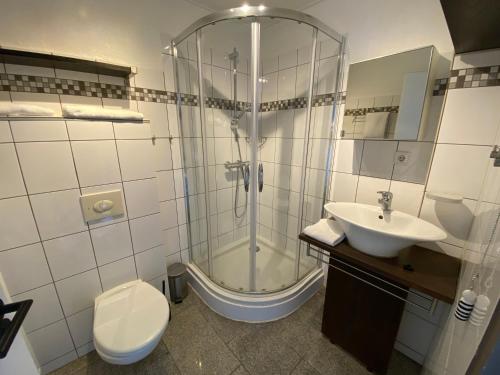 a bathroom with a shower and a toilet and a sink at Zeester - Wijk de Brabander 91 in Cadzand