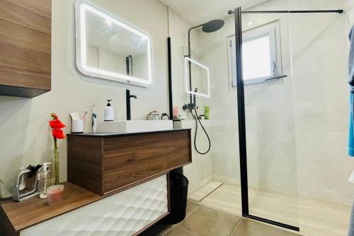 a bathroom with a sink and a shower at Ma Petite Maison in Chasse-sur-Rhône