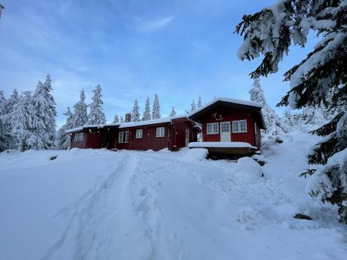 a red cabin in the snow with snow covered trees at Buhaug - cabin at Sjusjøen in Sjusjøen