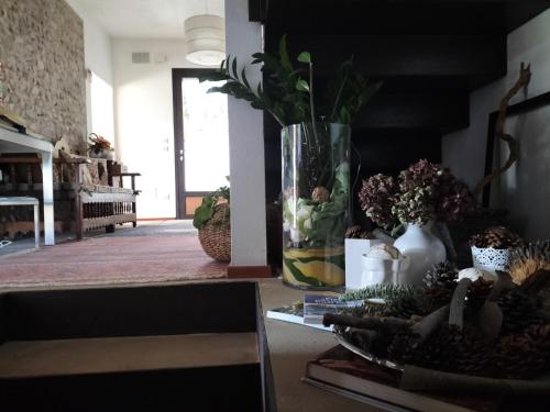 a vase with flowers on a table in a room at B&B Terre Di Bea in Pederobba