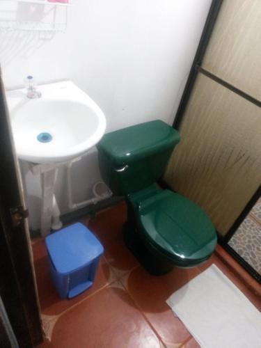 a bathroom with a green toilet and a sink at Nacientes Lodge in Bijagua