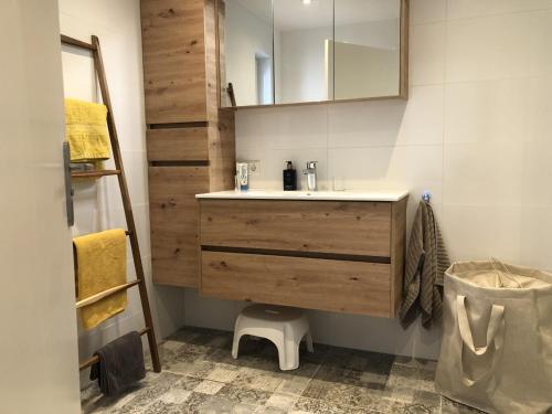 een badkamer met een wastafel en een spiegel bij Saint Palais- Sincfal 26 in Cadzand