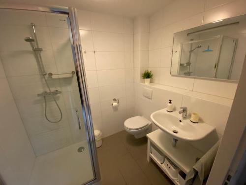 La salle de bains est pourvue d'une douche, d'un lavabo et de toilettes. dans l'établissement Lepelaar - Spaanse Galeien 109, à Cadzand