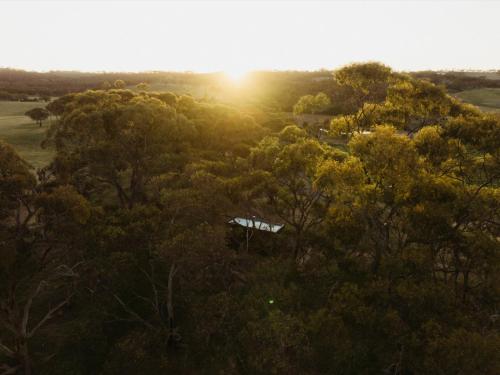 a house in the middle of trees with the setting sun at CABN Clare Valley in Mintaro