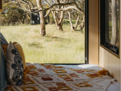 a window with a view of a field of grass at CABN Clare Valley in Mintaro