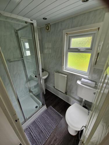 a bathroom with a shower and a toilet and a sink at Ranger - Snowdon Cabins holiday let Caernarfon in Caeathro
