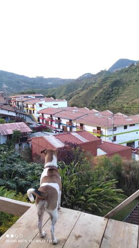 Gallery image of CABAÑA BLUE SKY in Jardin