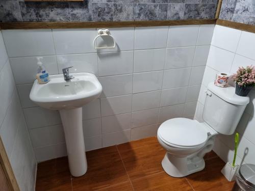 Ein Badezimmer in der Unterkunft Aparamentos Los Notros Neltume Huilo Huilo