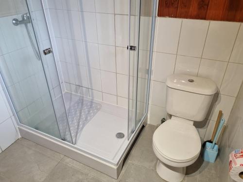 Ein Badezimmer in der Unterkunft Aparamentos Los Notros Neltume Huilo Huilo