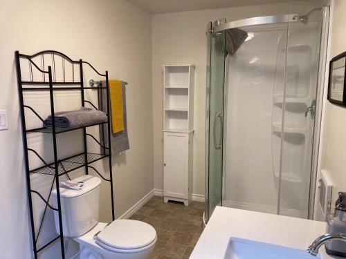 a bathroom with a shower and a toilet and a sink at Battle Creek Ranch, Wells Gray Park in Clearwater