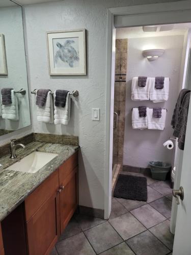 een badkamer met een douche, een wastafel en een spiegel bij Papakea Resort G406 in Lahaina
