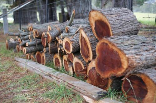 a pile of logs sitting on the grass at Duckmaloi Park Lodge in Oberon