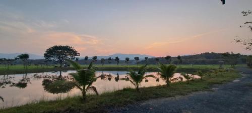 a river with palm trees next to a road at DGD Chiangmai in Mae Rim