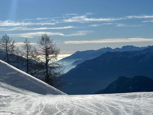 a snowy slope with trees and mountains in the background at Alpine Vista Villa Hardaker 4 bedrooms Torgnon in Torgnon