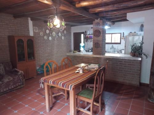 Los colibries – Photos 3