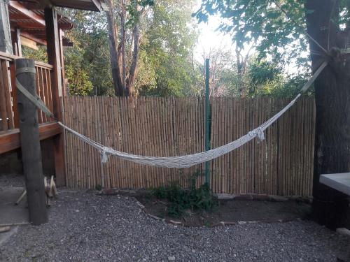 Los colibries – Photos 4