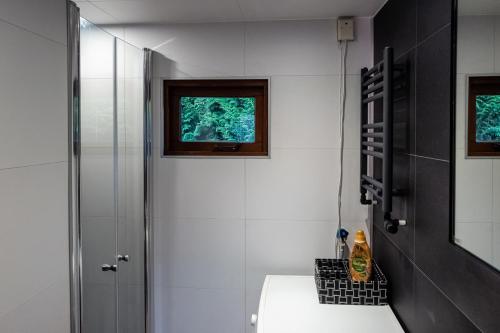 baño con lavabo, ducha y ventana en Wonderful place on a quiet spot in the middle of the Netherlands, en Putten