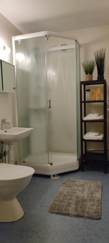 a bathroom with a shower and a sink at Villa Astrid in Pietarsaari