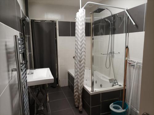 une salle de bain avec douche et lavabo dans l'établissement Appartement Eaux bonnes, à Eaux-Bonnes