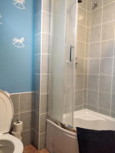 Koupelna v ubytování Apartmány Černá Říčka