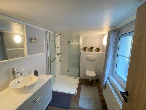 a bathroom with a sink and a shower and a toilet at Ferienhaus Am Riedbach - Birstein in Birstein