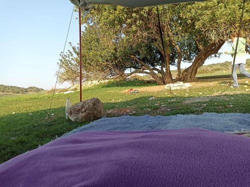 Ẕafririm的住宿－אהבתה גלמפינג של אהבה בעמק האלה，帐篷下铺着紫色毯子