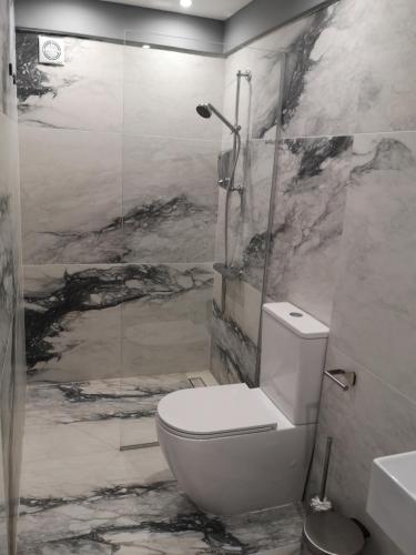a bathroom with a white toilet and a shower at Lykavitos Apartments in Nicosia