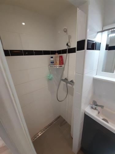 une salle de bain avec douche et lavabo dans l'établissement La cabane à Caillou, à Le Cheylas