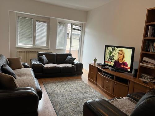 uma sala de estar com um sofá e uma televisão em Homy apartment in city center Marijin Dvor em Saraievo