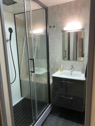 een badkamer met een douche en een wastafel bij Le cocon sainte Catherine in Honfleur