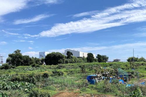 a field of crops with a building in the background at 江ノ島に近い富士山も眺める湘南の丘のヴィラーSweet Room in Fujisawa