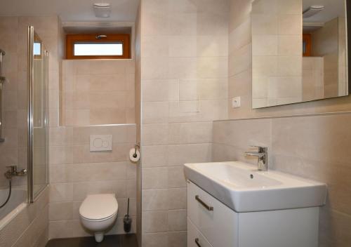 a bathroom with a sink and a toilet and a shower at EFI Residence Holzova 28 in Brno