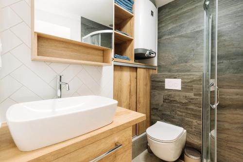 a bathroom with a sink and a shower at Horský apartmán Temari 7 Klínovec in Loučná pod Klínovcem