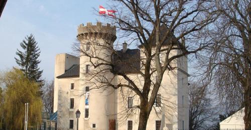 un château avec un drapeau en haut dans l'établissement Le troubadour, à La Roche-sur-Foron