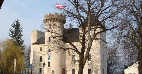 um castelo com uma bandeira em cima dele em Le troubadour em La Roche-sur-Foron