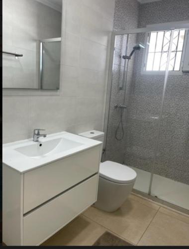 a bathroom with a toilet and a sink and a shower at Playa Flamenca 151 in Playa Flamenca