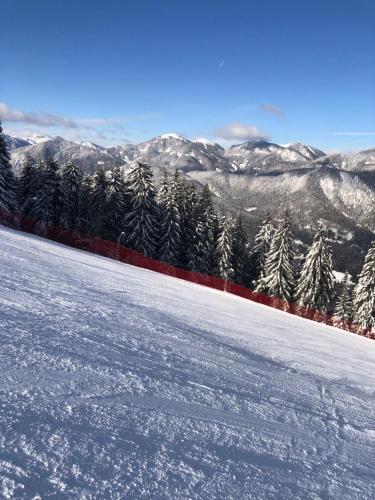 a snow covered mountain with trees and a red fence at Appartment Isabelle Sky in Presseggersee