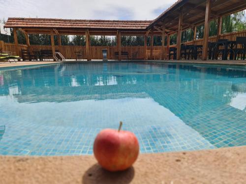 Der Swimmingpool an oder in der Nähe von La pommeraie d'Ifrane