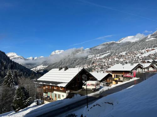 Alpujarra - Apt 304 - BO Immobilier - Reduced prices on ski passes Châtel & Portes du Soleil