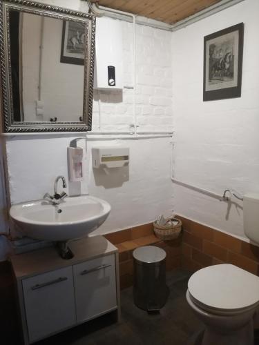 ein Badezimmer mit einem Waschbecken, einem WC und einem Spiegel in der Unterkunft Schäferwagen Rotkelchen in Ratingen