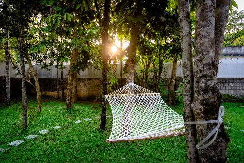 a hammock hanging between two trees in a park at The Mayflower - Heritage Villa in Alleppey