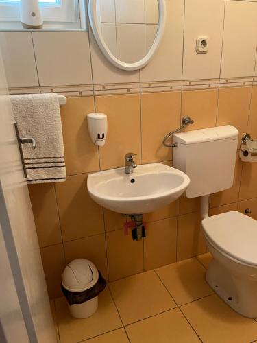 a bathroom with a sink and a toilet and a mirror at Apartments Pralija in Sevid