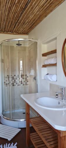 a bathroom with a shower and a white sink at Whipstock Guest Farm in McGregor