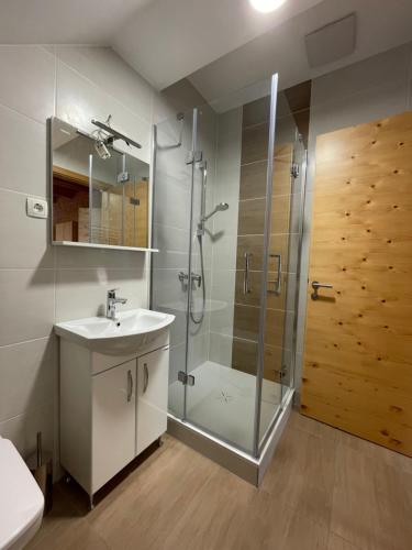 een badkamer met een glazen douche en een wastafel bij Apartma LD Puščava in Lovrenc na Pohorju