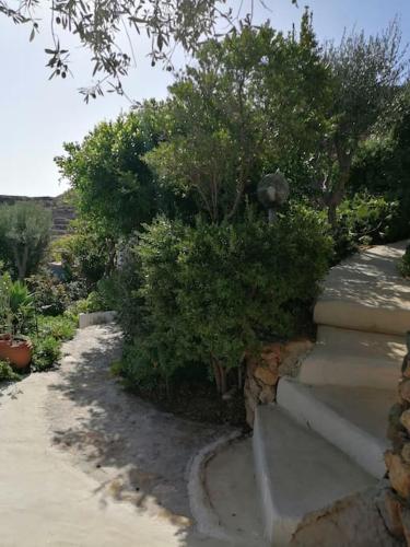 a garden with some bushes and trees and stairs at CASA DEI MELOGRANI at Vourlidia Leros in Vromolithos
