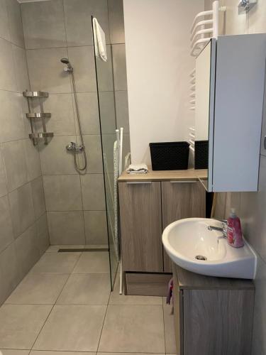een badkamer met een douche en een wastafel bij Apartment Katowice Center-1 in Katowice