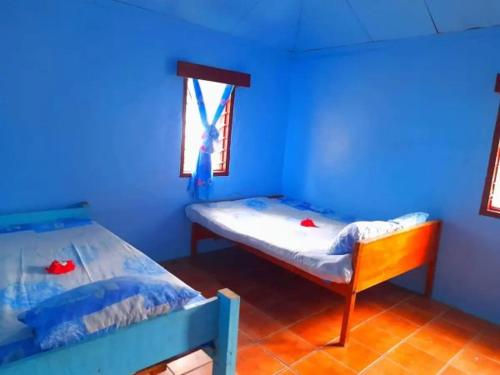 a blue room with two beds and a window at Mana Lagoon Backpackers in Mana Island