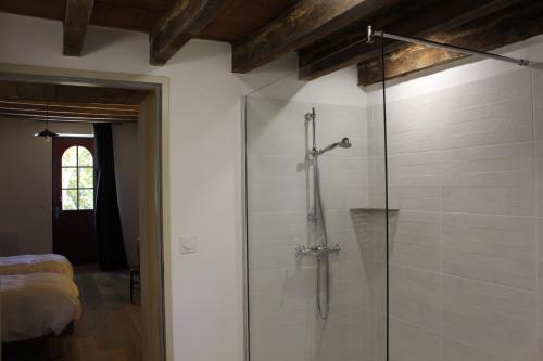 bagno con doccia e porta in vetro di LE DOMAINE DU PETIT TERTRE - SPA EN EXTERIEUR a Saint-Jean-dʼAssé